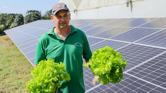 energia solar no agronegócio